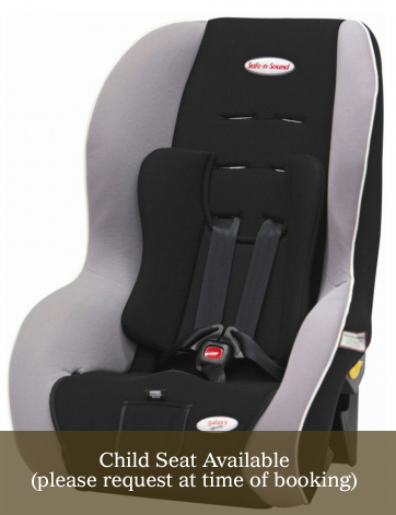 PageLines-child_seat.jpg